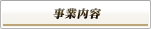 ���Ɠ��e